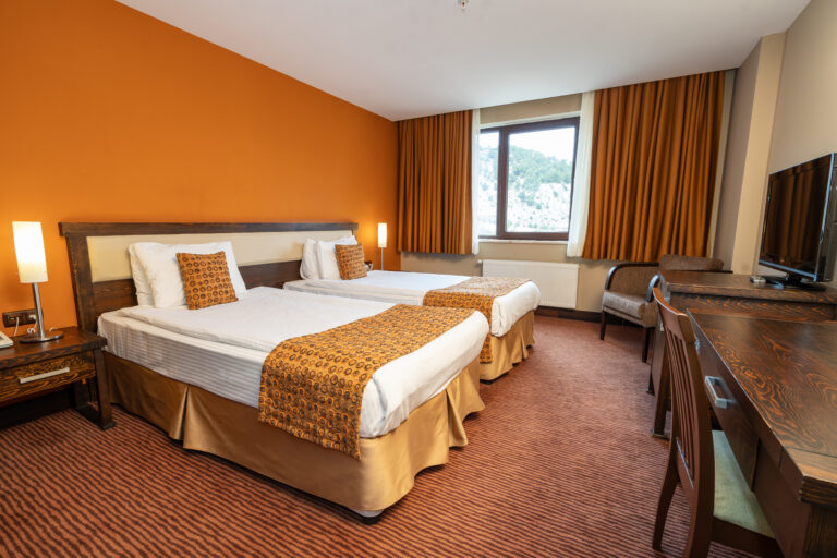 01 Dag╠å Manzaral─▒ Standart Oda